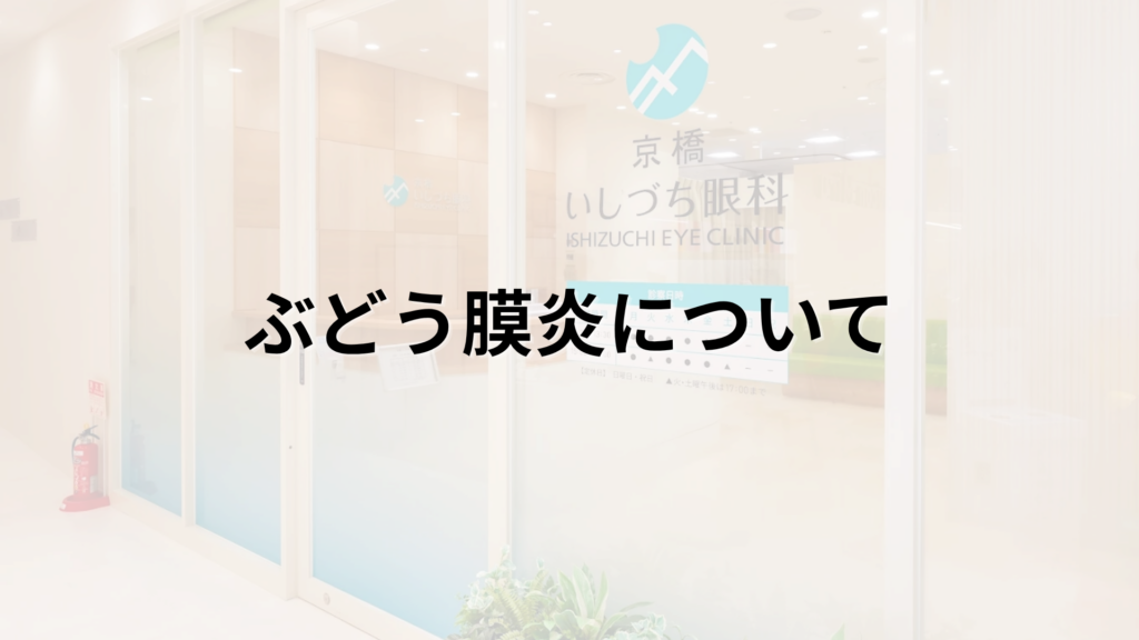 ぶどう膜炎の解説画像_京橋いしづち眼科