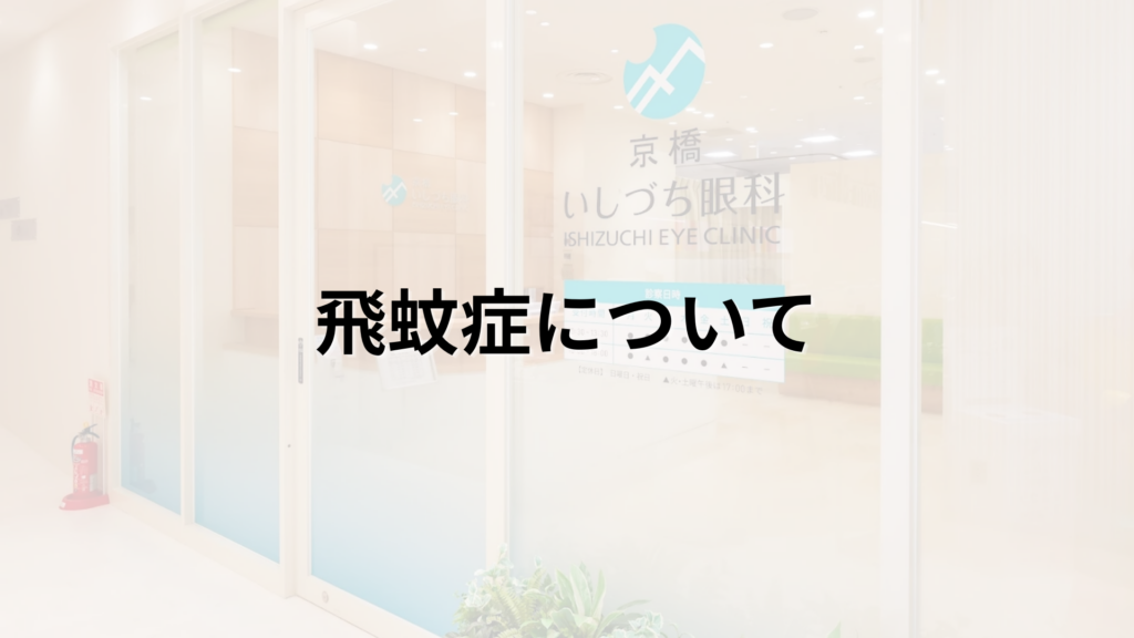 飛蚊症について解説する画像_京橋いしづち眼科